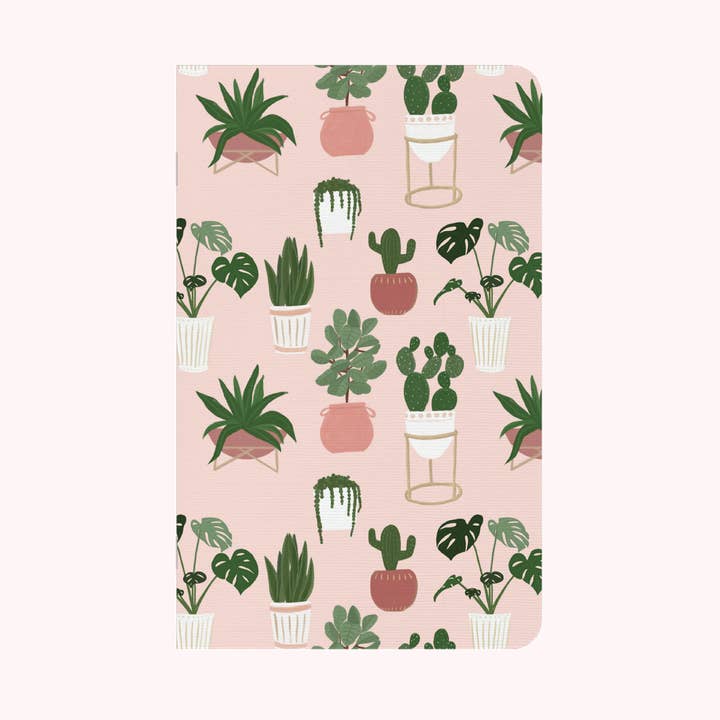 House Plants for wholesale by May Designs