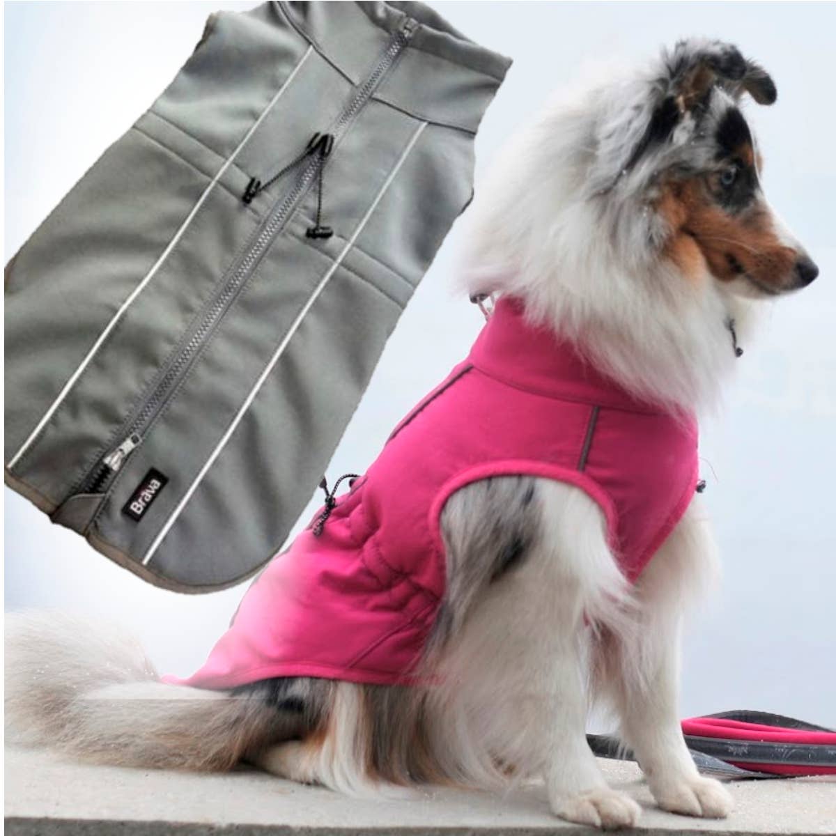 wholesale dog coats