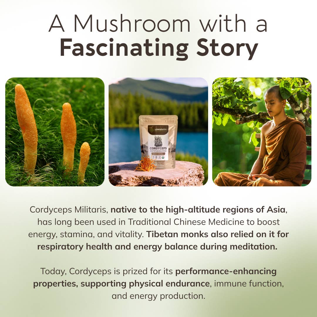 Longevity Botanicals - Vente Poudres protéinées/superaliments - Poudre de Cordyceps Bio 100g : Complément pour l'Énergie et le Soin des Poumons6