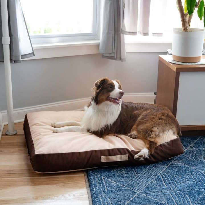 Lit orthopédique pour animaux Rawry THERA en mousse à mémoire de forme pour la vente par Rawry Pets