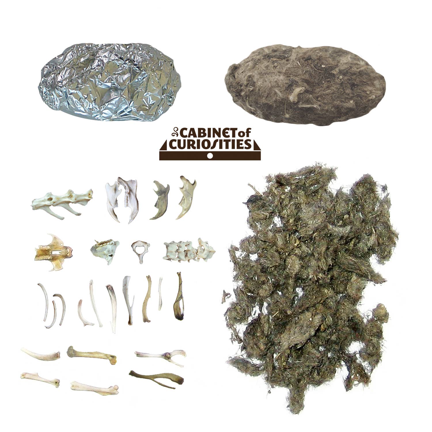 Copernicus Toys - Wholesale DIY Craft Kit - Kids - Cabinet of Owl Pellets | Dissection Kit Science Demo4