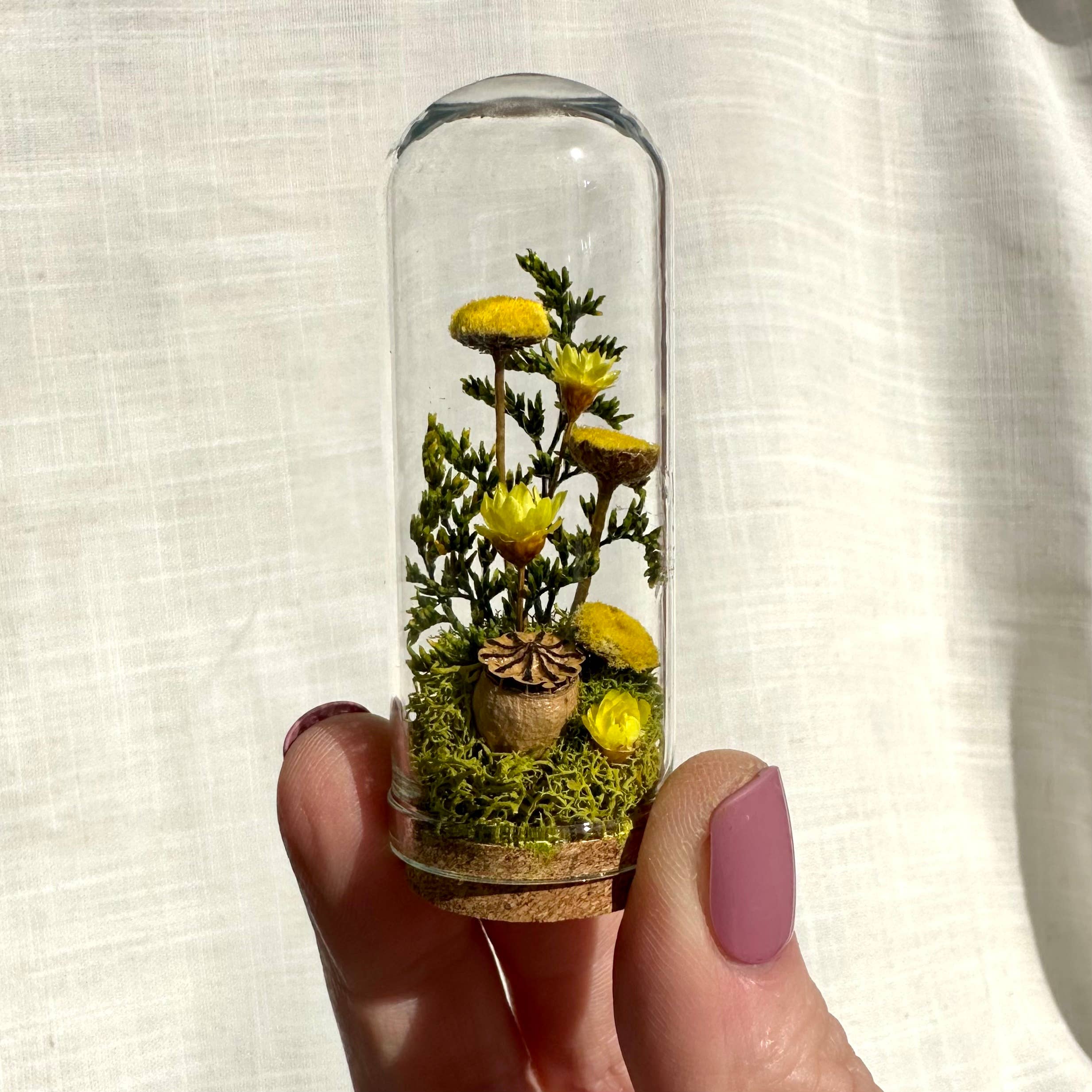 CA Studios - Wholesale Terrarium - Flower Forest Mix Mini Cloche Terrarium w. Dried Florals3