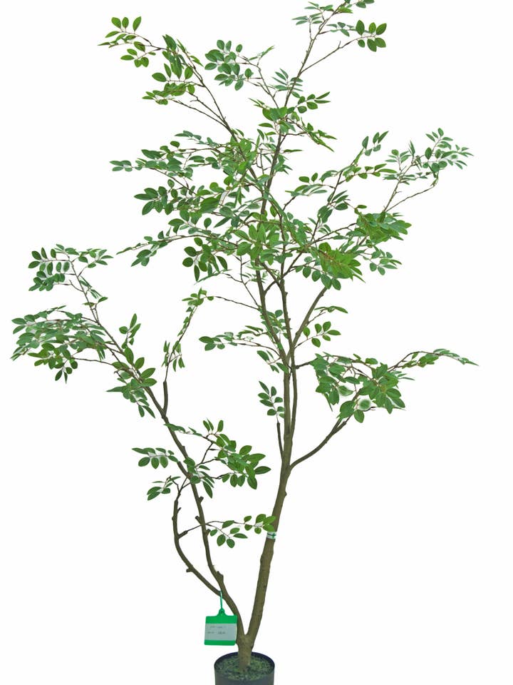 NANDINA TREE, 70.87", GREEN, for wholesale by Select Artificials, Inc.