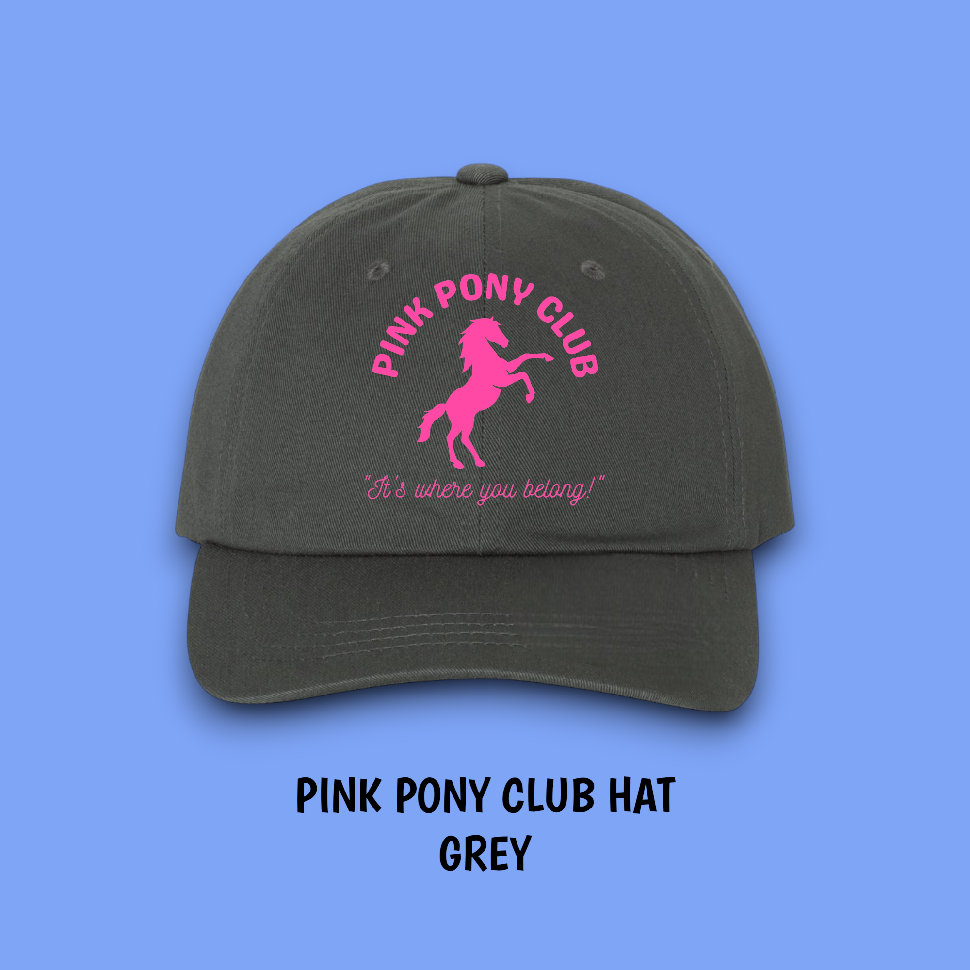 Equine & Design, LLC - Wholesale Baseball Cap - Women's - PINK PONY CLUB HAT1