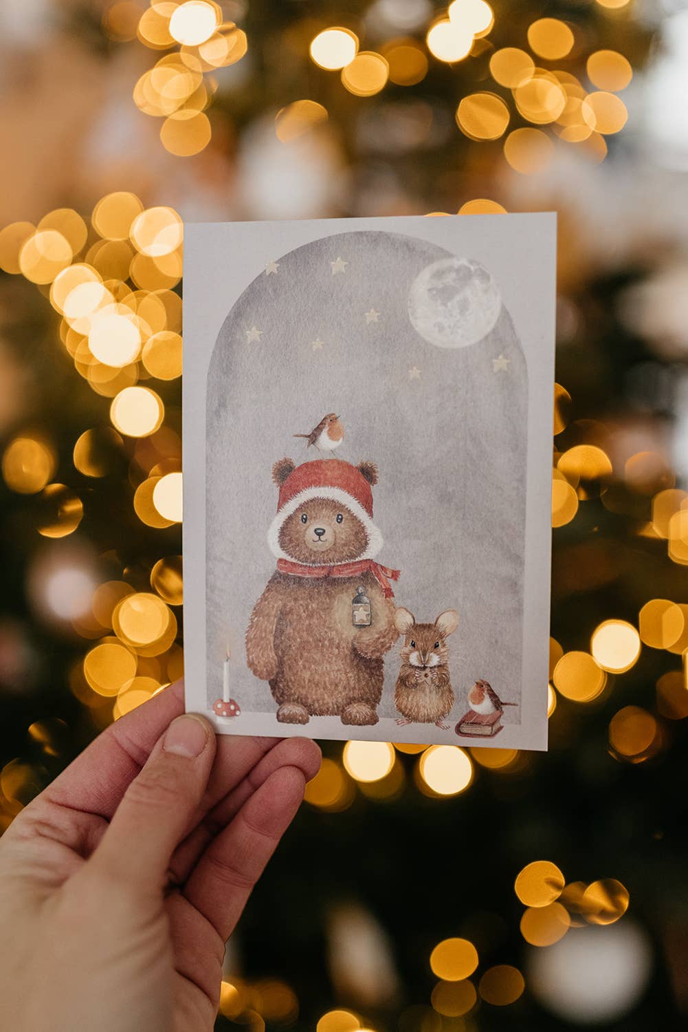 Appeloogje - Wholesale Everyday Greeting Card - Postcard bear with mouse4