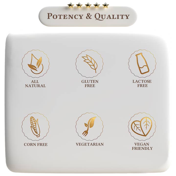 A Quality Life - Wholesale Protein/Superfood Powder - Vegan Protein Vanilla Milkshake