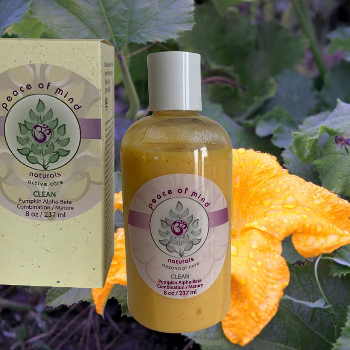 CLEAN • Pumpkin and alpha hydroxy acids for all skin types for wholesale by Peace of Mind Skin Care