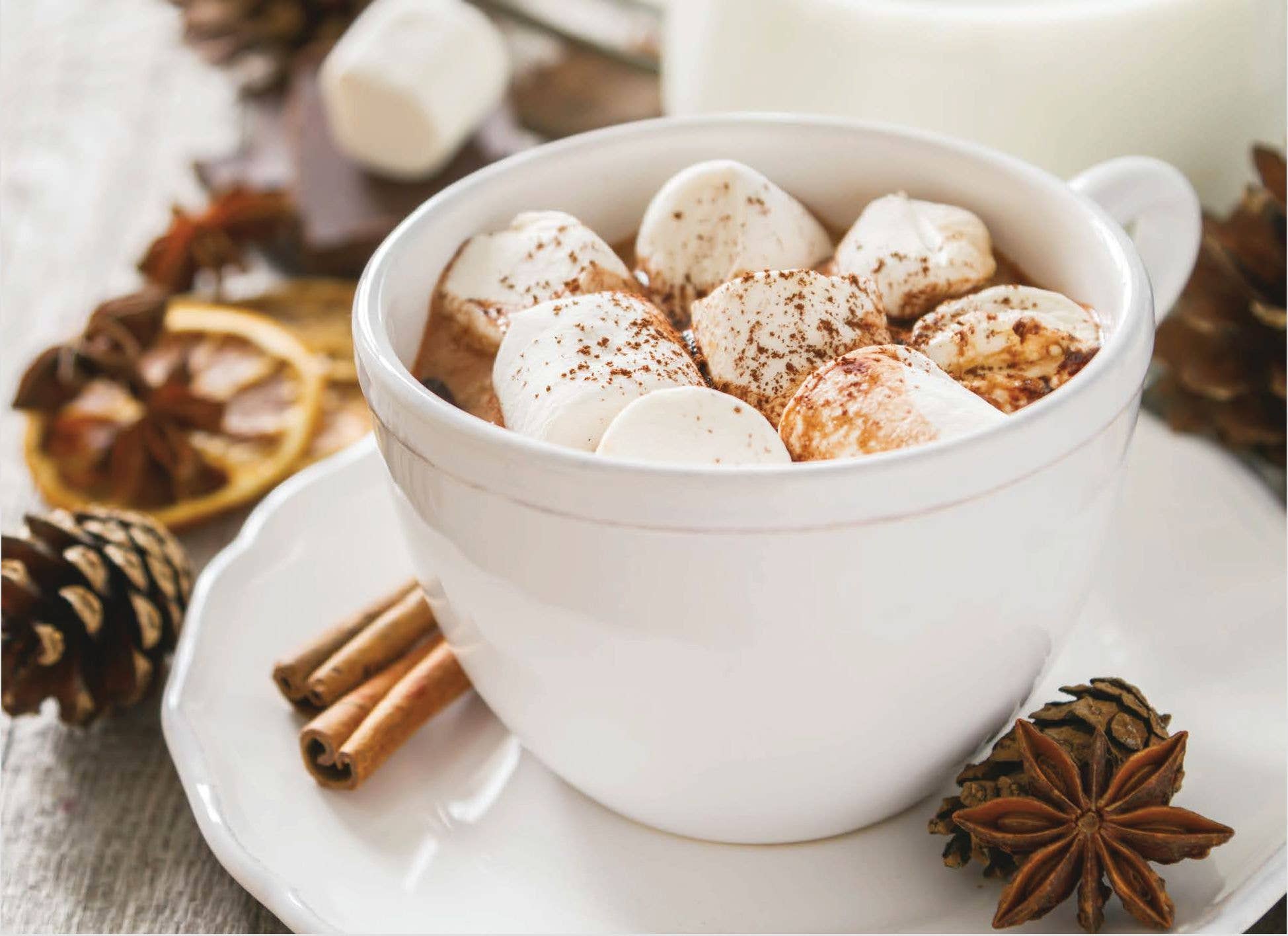 Crown Point Graphics - Vente Cartes de Noël - Cartes de Noël religieuses en boîte - Noël douillet KJV11