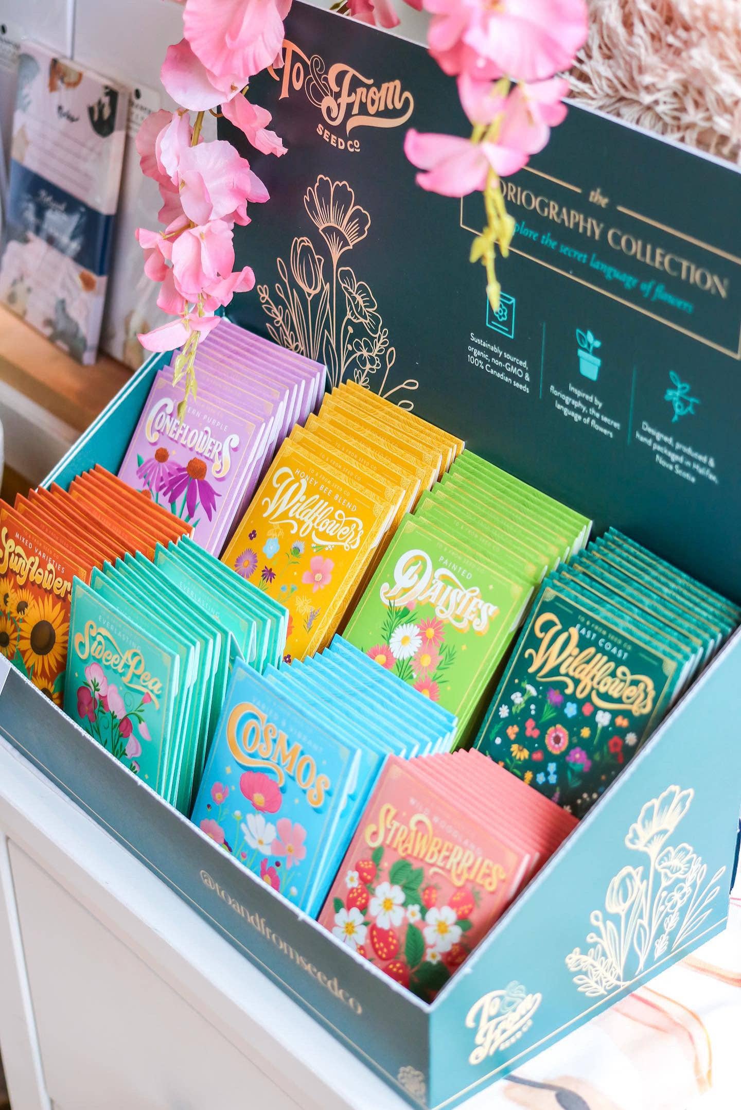 To & From Gift Co. - Wholesale Retailer Display Stand/Case - Floriography Seed Packet Countertop Display (EMPTY)2