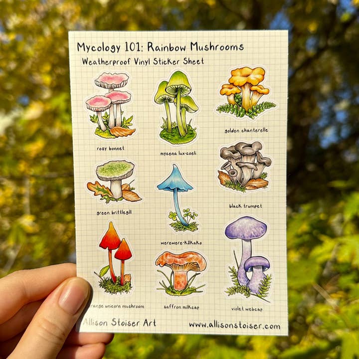 Mycology 101: Regenbogenpilze, wetterfestes Vinyl-Aufkleberblatt für den Großhandel von Allison Stoiser Art