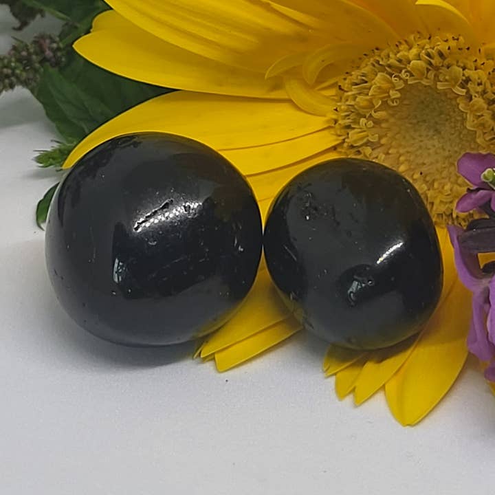 Tourmaline noire pour la vente par Crystal Cove