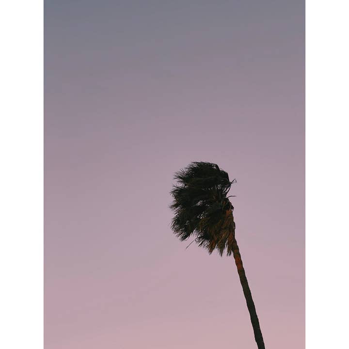 Magnetisch markeerbord - Palm voor wholesale door Queence