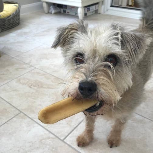 Real Pet Supplies - Wholesale Pet Treats - Dog - K2 Yak Chews 100% Natural Longer Lasting Dog Treats Medium6