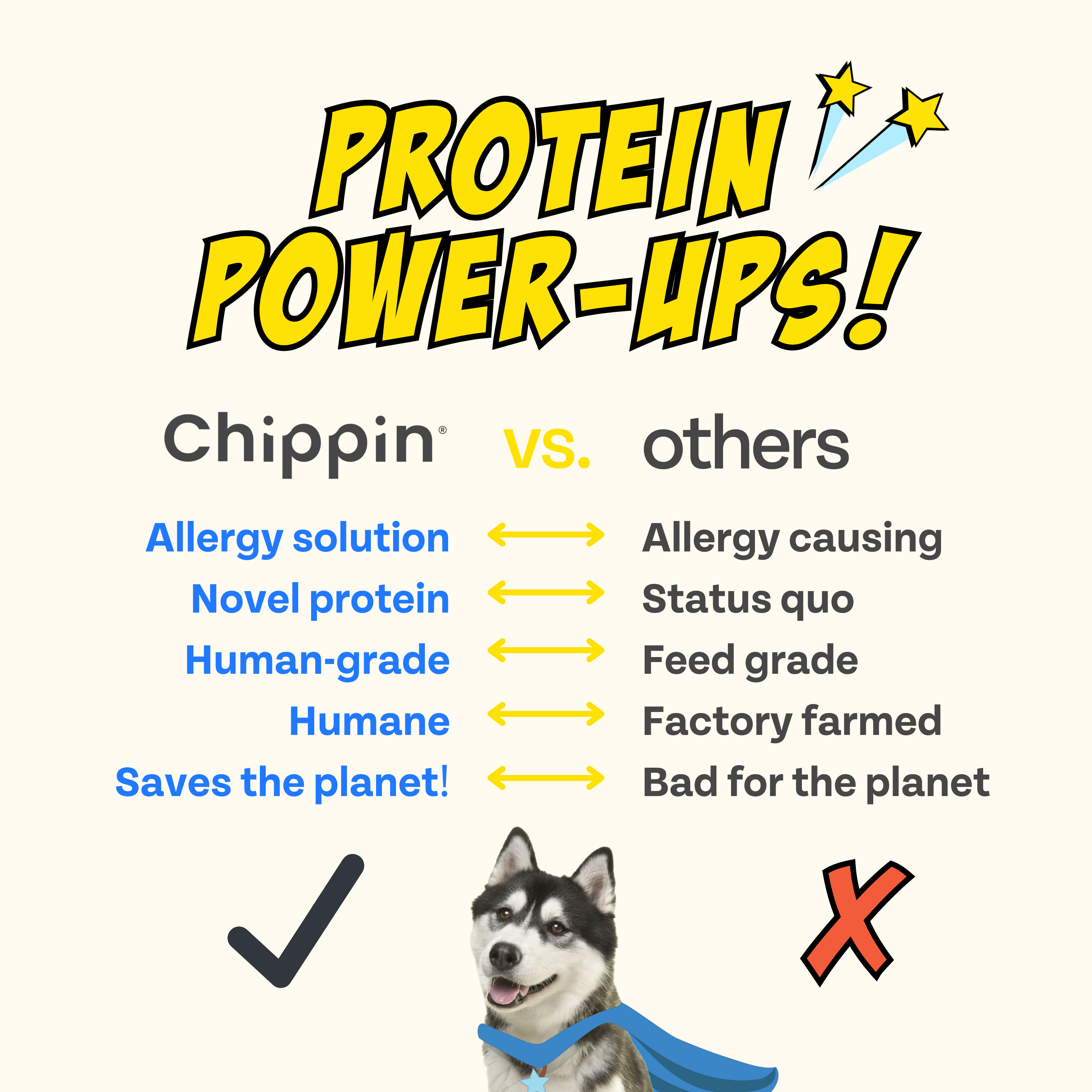 Chippin - Wholesale Pet Treats - Dog - Wild-Caught Fish Pumpkin Apple Soft Jerky Dog Treats4