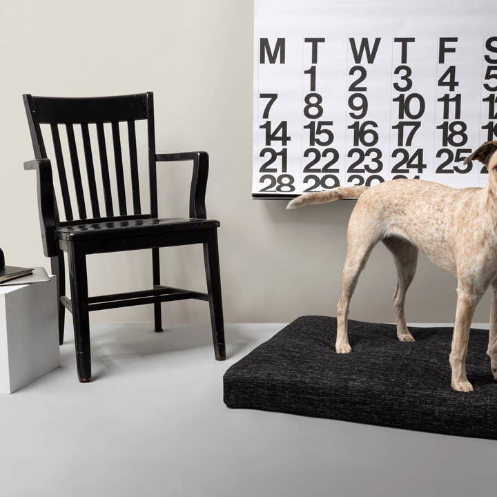 LAY LOâ„¢ Pets - Wholesale Pet Bed - Dog - LAY LO Pets - Modern Black Dog Bed