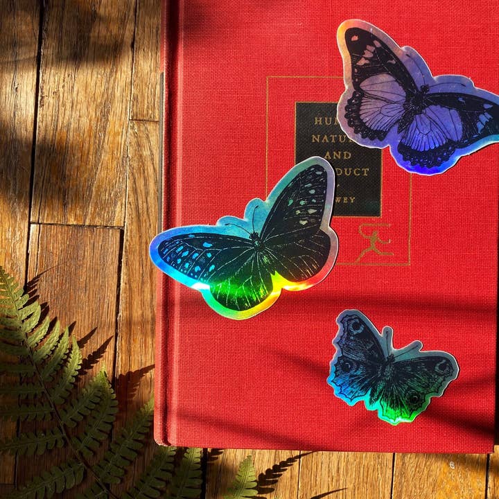 Lot de 3 autocollants holographiques papillon | Lot de 3 décalcomanies holographiques | Autocollant papillon | Autocollants nature | Autocollants entomologie | Autocollants insectes pour la vente par Kaleigh Day Art