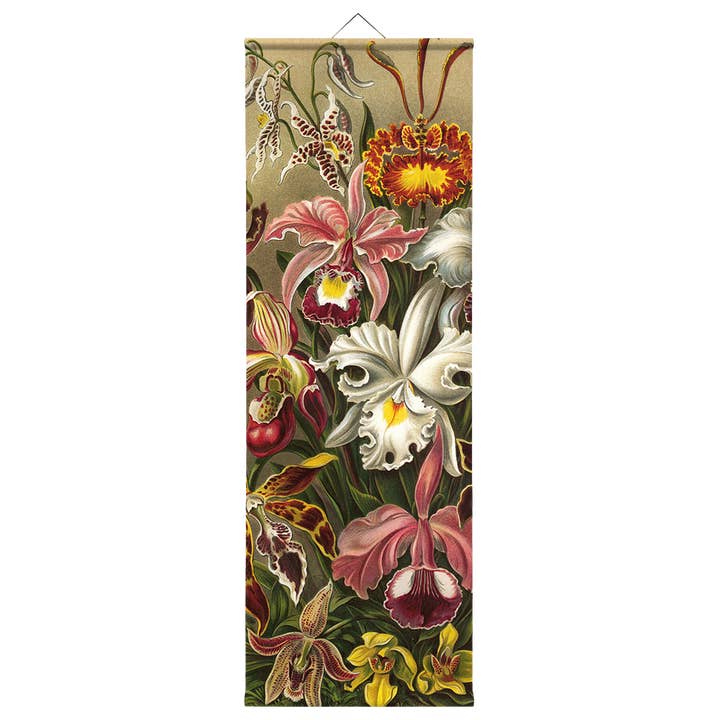 Kakemono nº 028 Orquídeas de Haeckel por atacado de Eicie