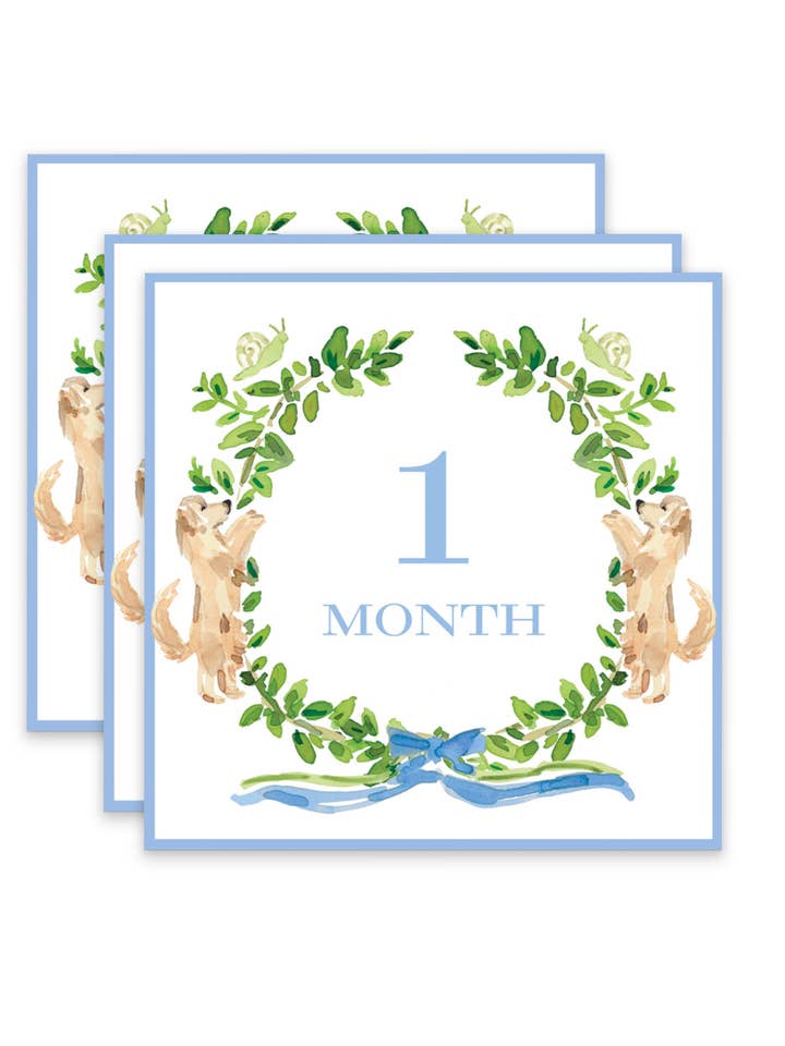 Tarjetas conmemorativas con caracoles y colas de perrito para venta al por mayor de Sugar Snap Collection