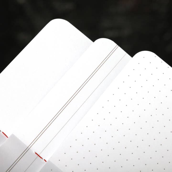 Field Notes - Wholesale Notebook - Flora 3-Pack