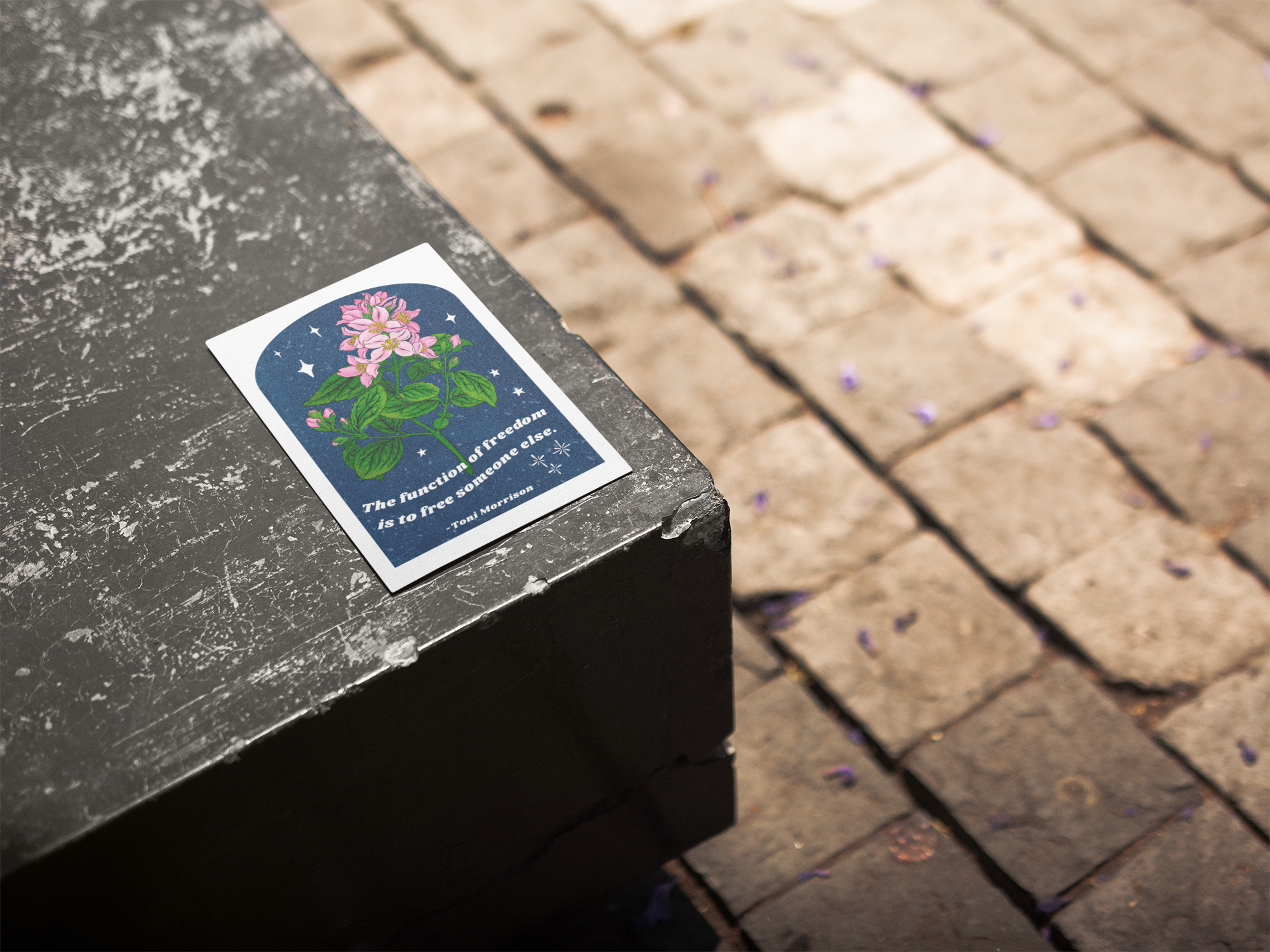 Fabulously Feminist - Wholesale Art Print - The Function of freedom, Toni Morrison:  Feminist Art Print3