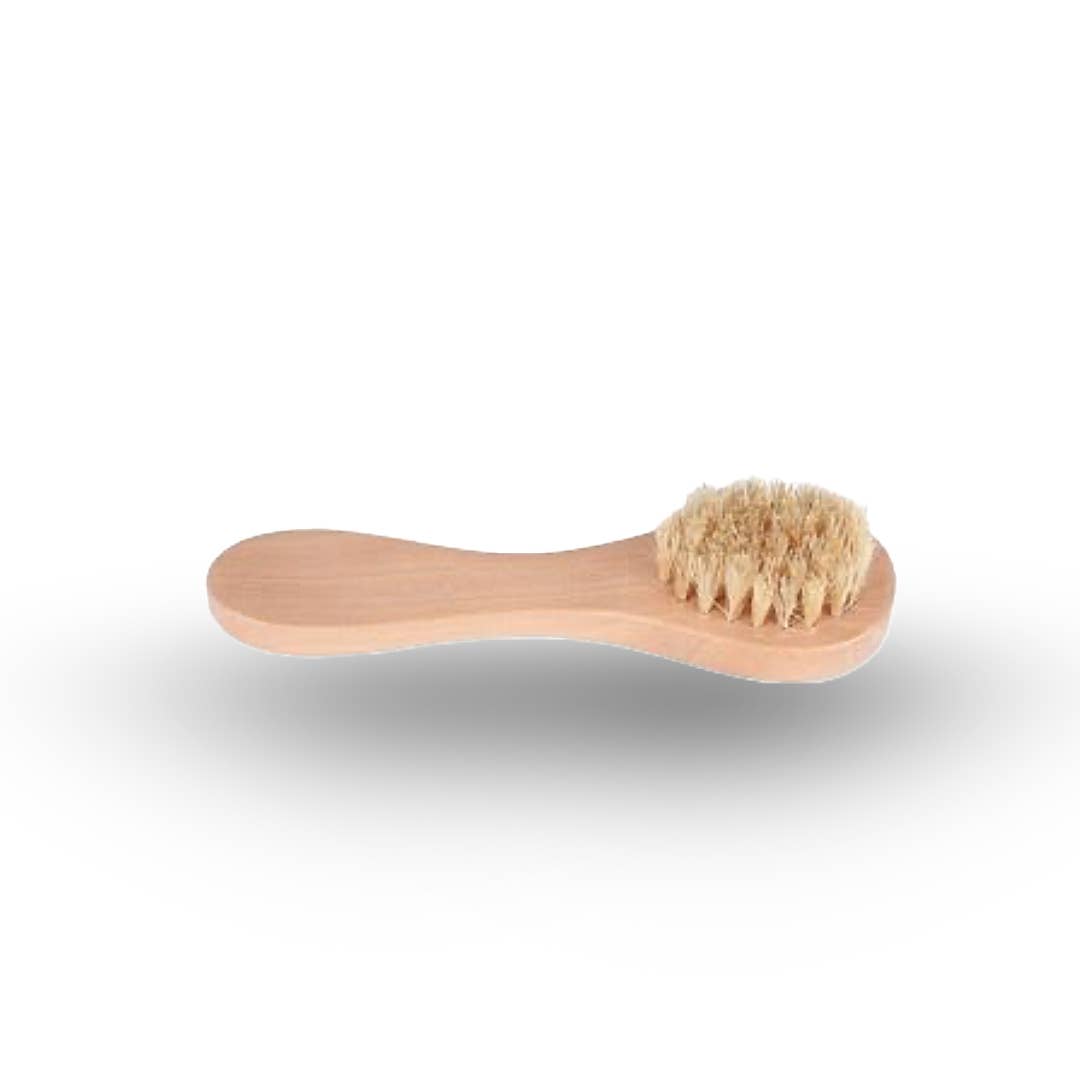 Anthro Apothecary - Wholesale Body Brush - Face Scrub Brush