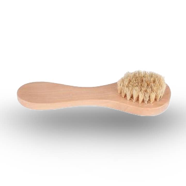 Anthro Apothecary - Wholesale Body Brush - Face Scrub Brush0