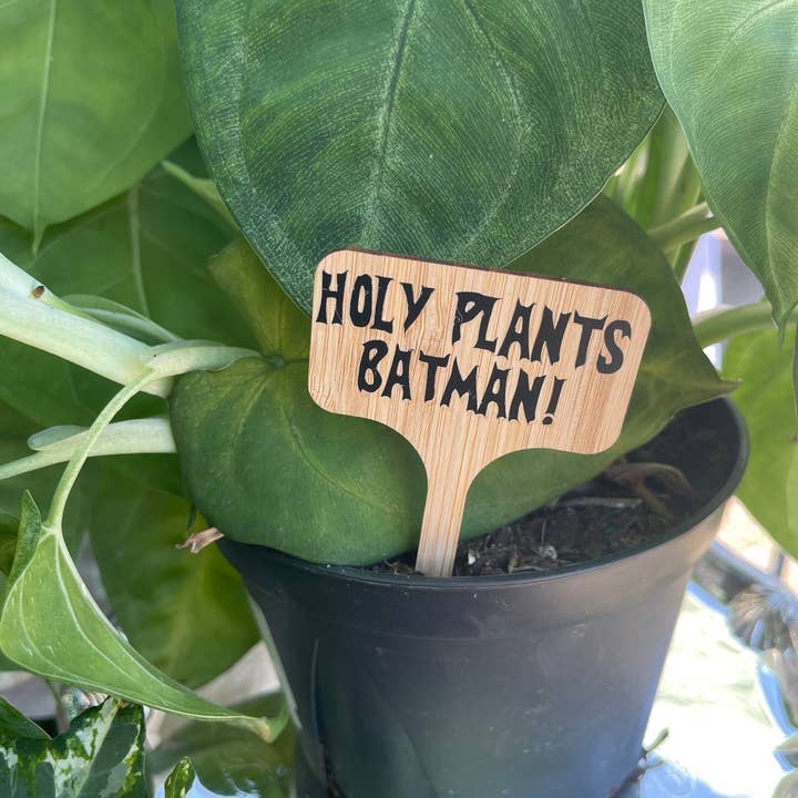 Crafts At Stake - Wholesale Garden/Lawn Stake - Holy Plants, Adam West!
