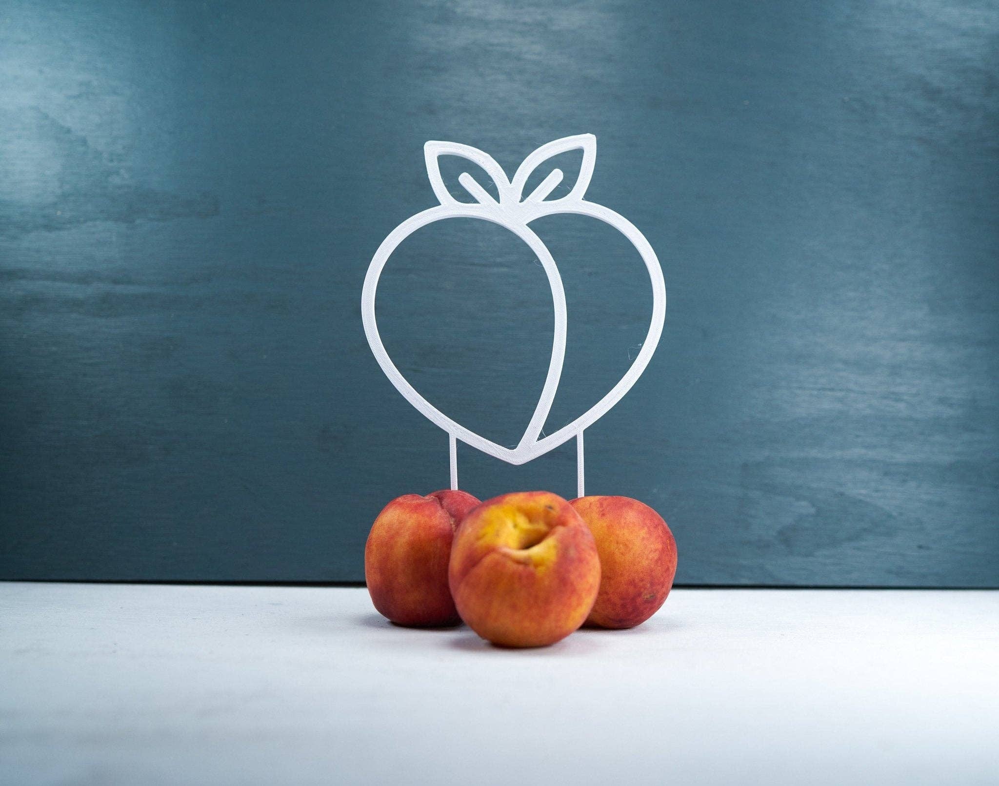 Rosebud Homegoods - Wholesale Trellis - Peach Plant Trellis for Vining Plants7