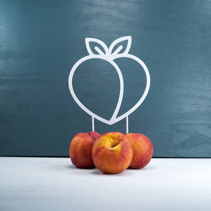 Rosebud Homegoods - Vente Treillis - Tuteur pour plantes grimpantes de pêcher7