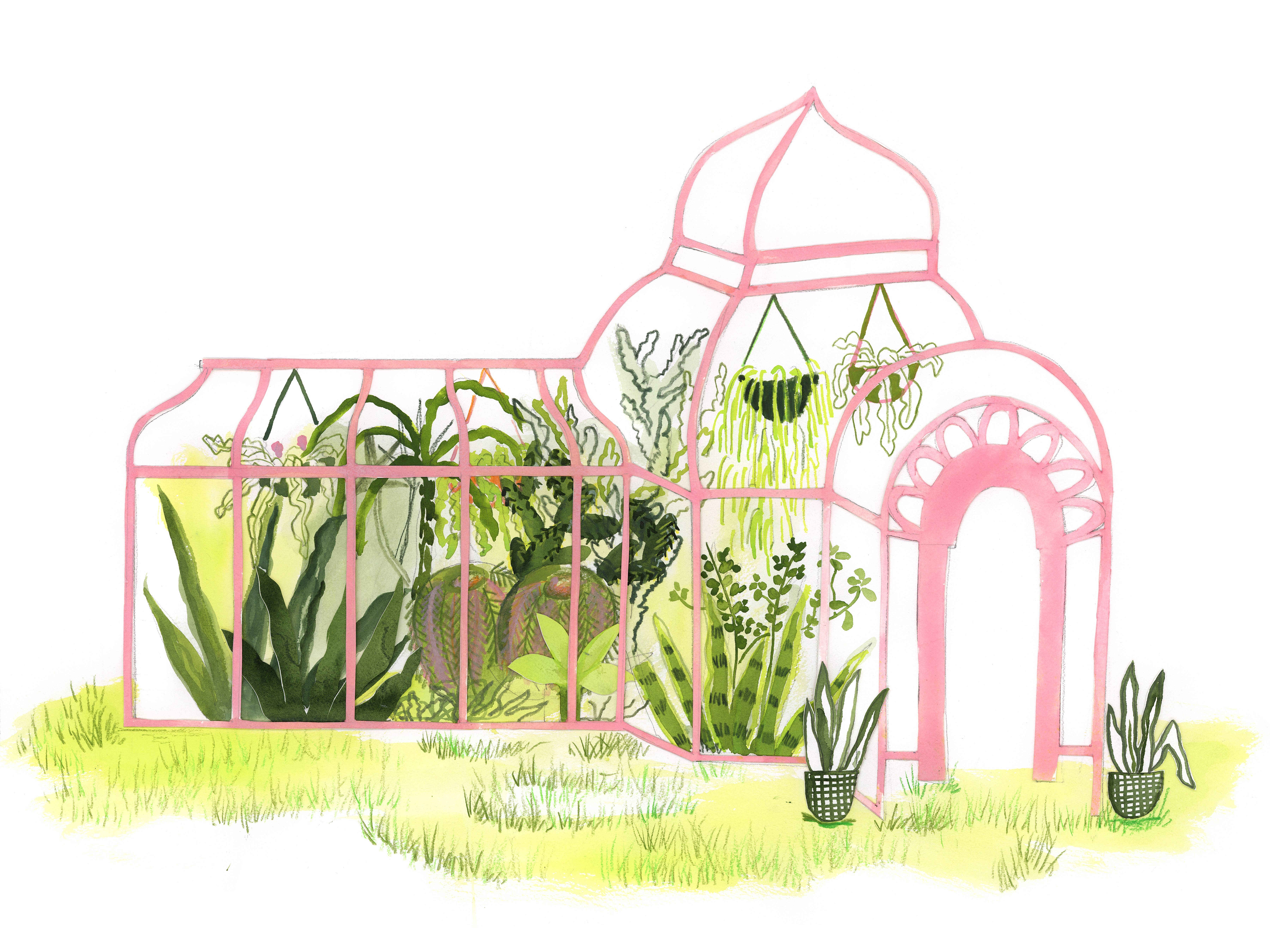 ApoorvaMittalDraws - Wholesale Art Print - Plant Oasis/Greenhouse Watercolour Art Print1