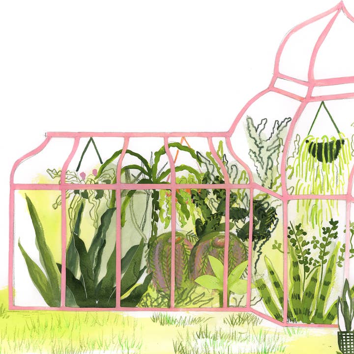 ApoorvaMittalDraws - Wholesale Art Print - Plant Oasis/Greenhouse Watercolour Art Print1