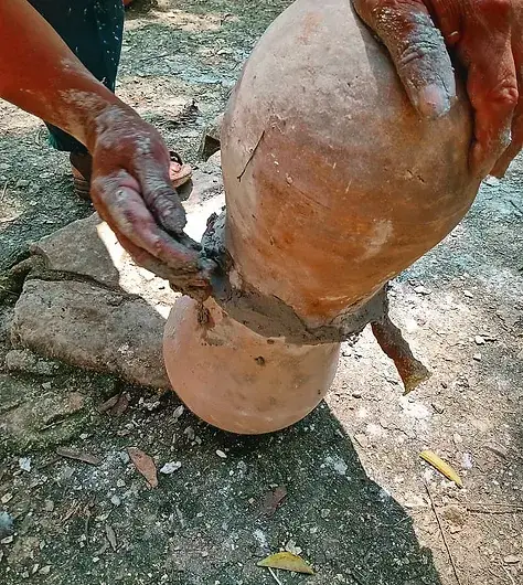 Zayti L.T.D.M - Wholesale Honey - PRECIOUS MELIPONA HONEY (ORGANIC): 300G JAR - SCAPTOTRIGONA5