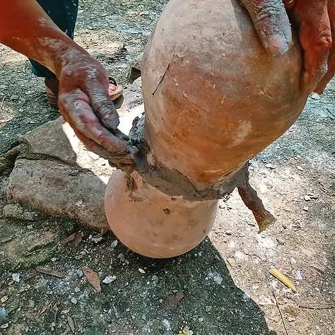 Zayti L.T.D.M - Wholesale Honey - PRECIOUS MELIPONA HONEY (ORGANIC): 300G JAR - SCAPTOTRIGONA5