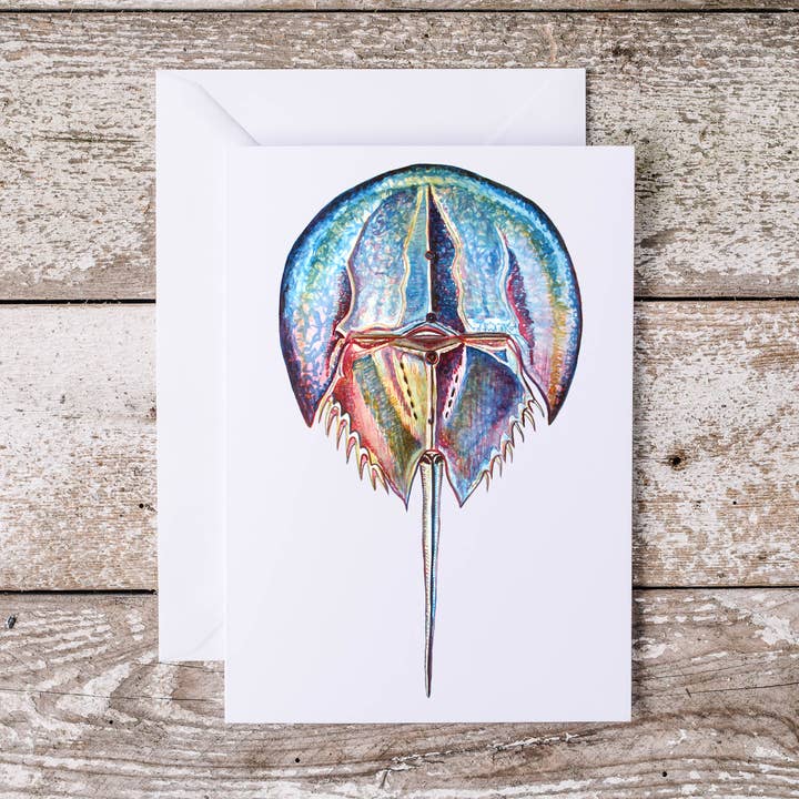 Sapato Cavalo Colorido Caranguejo Artwork 5x7 Cartão de Saudação por atacado de The Ship's Hold