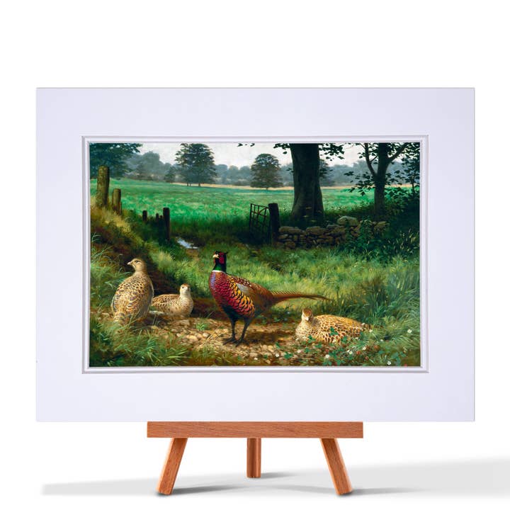 Fasan Parkland Fin Art Print for engroshandel hos Julian Friers Wildlife Art & Gifts