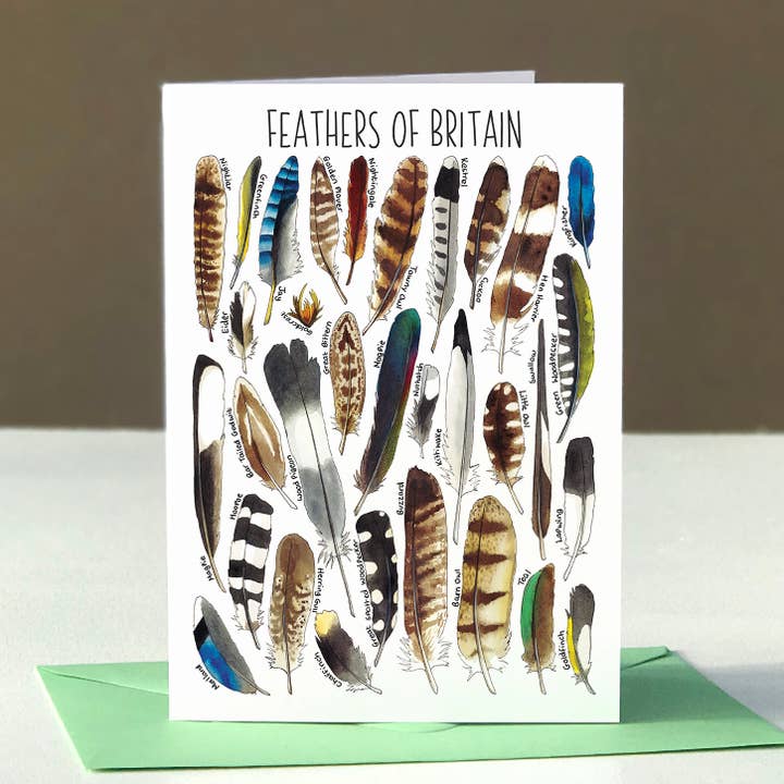 Feathers of Britain Art Blank Greeting Card for wholesale by Alexia Claire Ltd