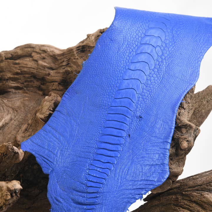 MAISON SOLER TANNERIE - Wholesale Huisdiertas - Honden - Blauwe Koningsstruisvogel Poot