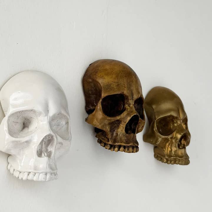 G7T6 - Wholesale Wall Accent - Skull Wall Mounted Gothic Gallery Wall Skull2