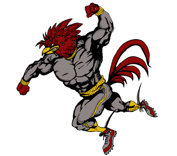 Beautiful Demise – wholesale T-shirt (graphic) – unisex – Cock Block4