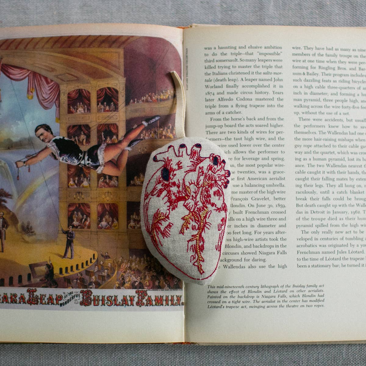 Skippy Cotton - Wholesale Ornament - Anatomical Heart - Cotton & Lavender filled Ornament3