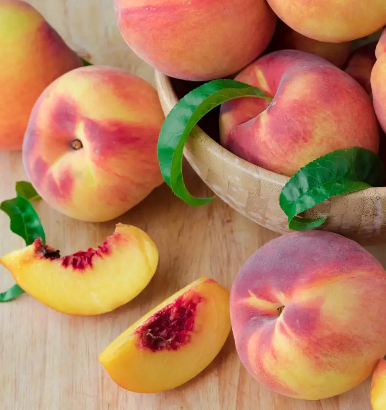 Sera & Sophie - Vente Bougie en bocal - Bougies artisanales en gros (fabriquées sur commande)15