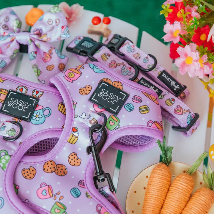 SASSY WOOF - Wholesale Pet Harness - Dog - Dog Adjustable Harness - Tea Pawty (Spring)
