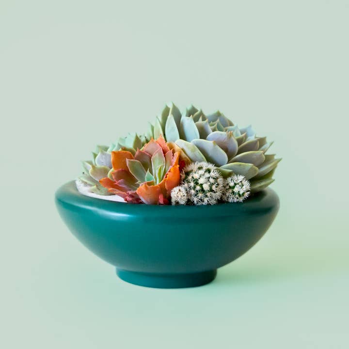 Jungle Club - Wholesale Plant Pot - Birdie Bowl | Rainforest