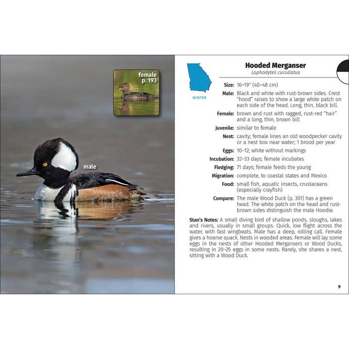 AdventureKEEN - Wholesale Nature & Outdoors - Birds of Georgia Field Guide 2e3