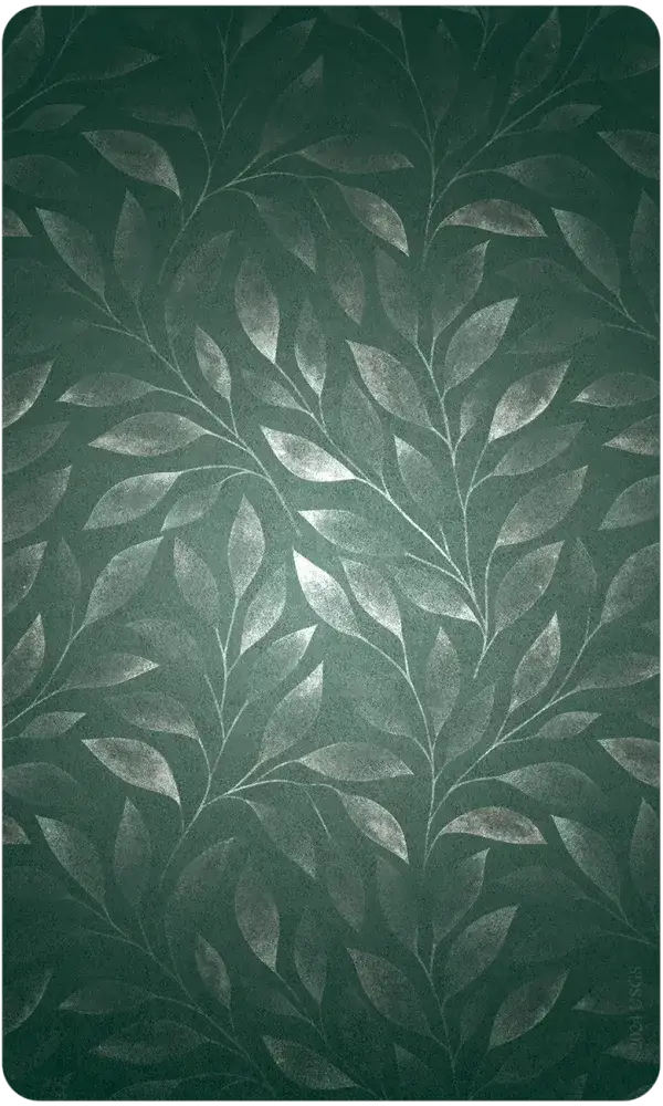 U.S. Games Systems Inc. - Wholesale Tarot Cards - The Luminescent Oracle9