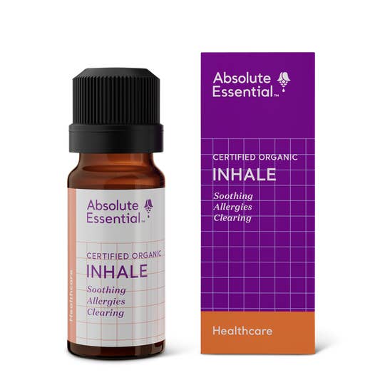 Miscela di oli essenziali per inalare per la vendita all'ingrosso da parte di Absolute Essential Plant Oils