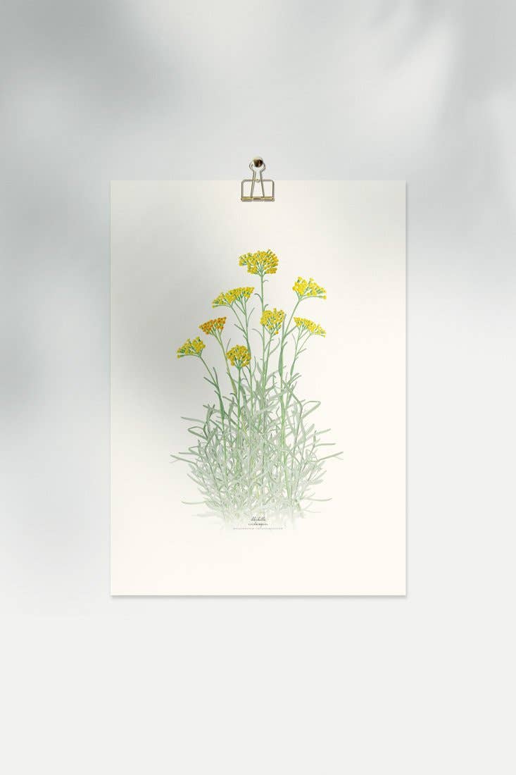 Save the date projects - Wholesale Art Print - CURRY Decorative Film4