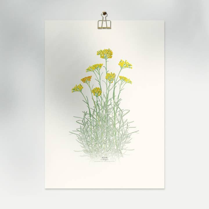 Save the date projects - Wholesale Art Print - CURRY Decorative Film4