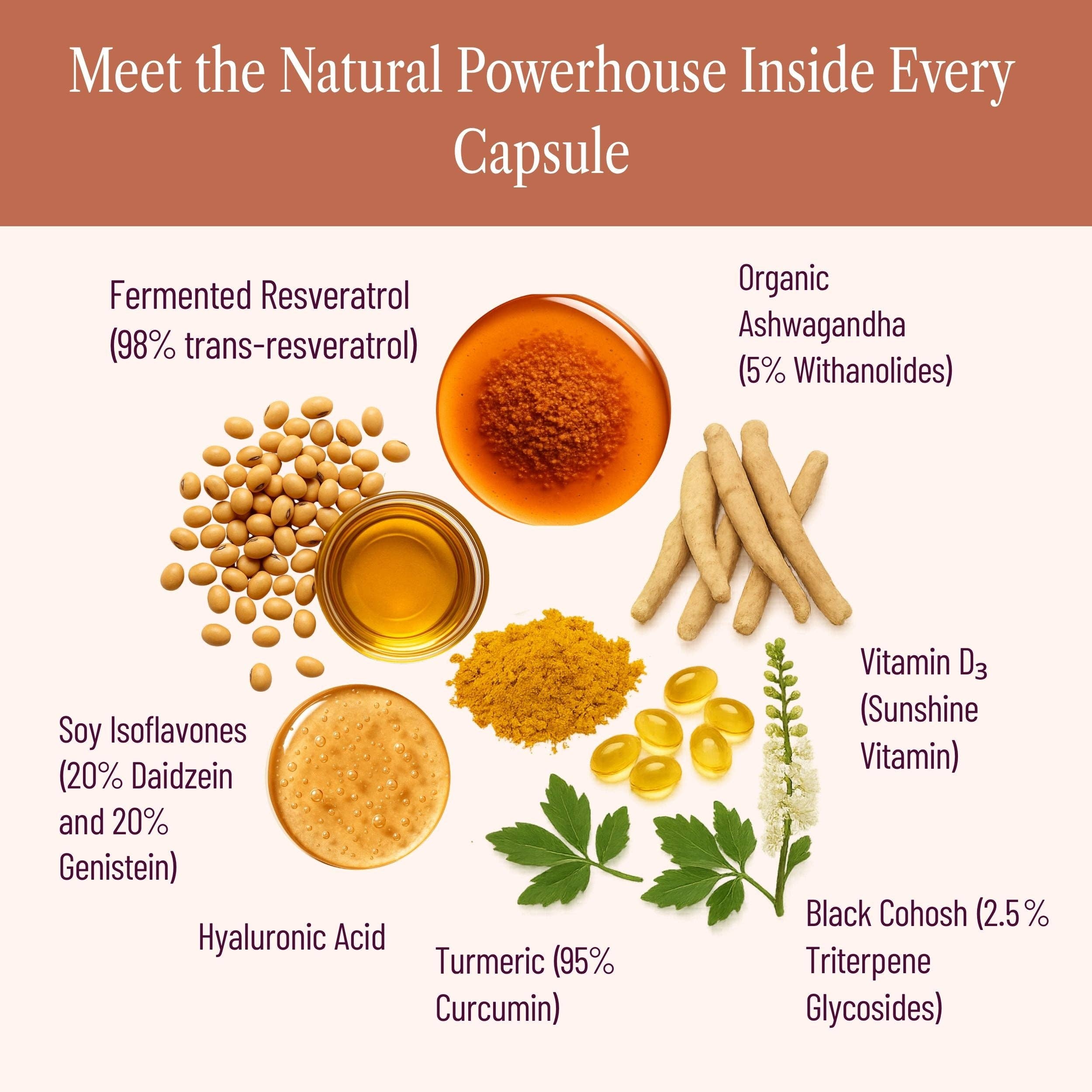 SEASON34 - Wholesale Oral Supplement/Vitamin - Menopause Bone & Joint Health – Comfort & Mobility Support4