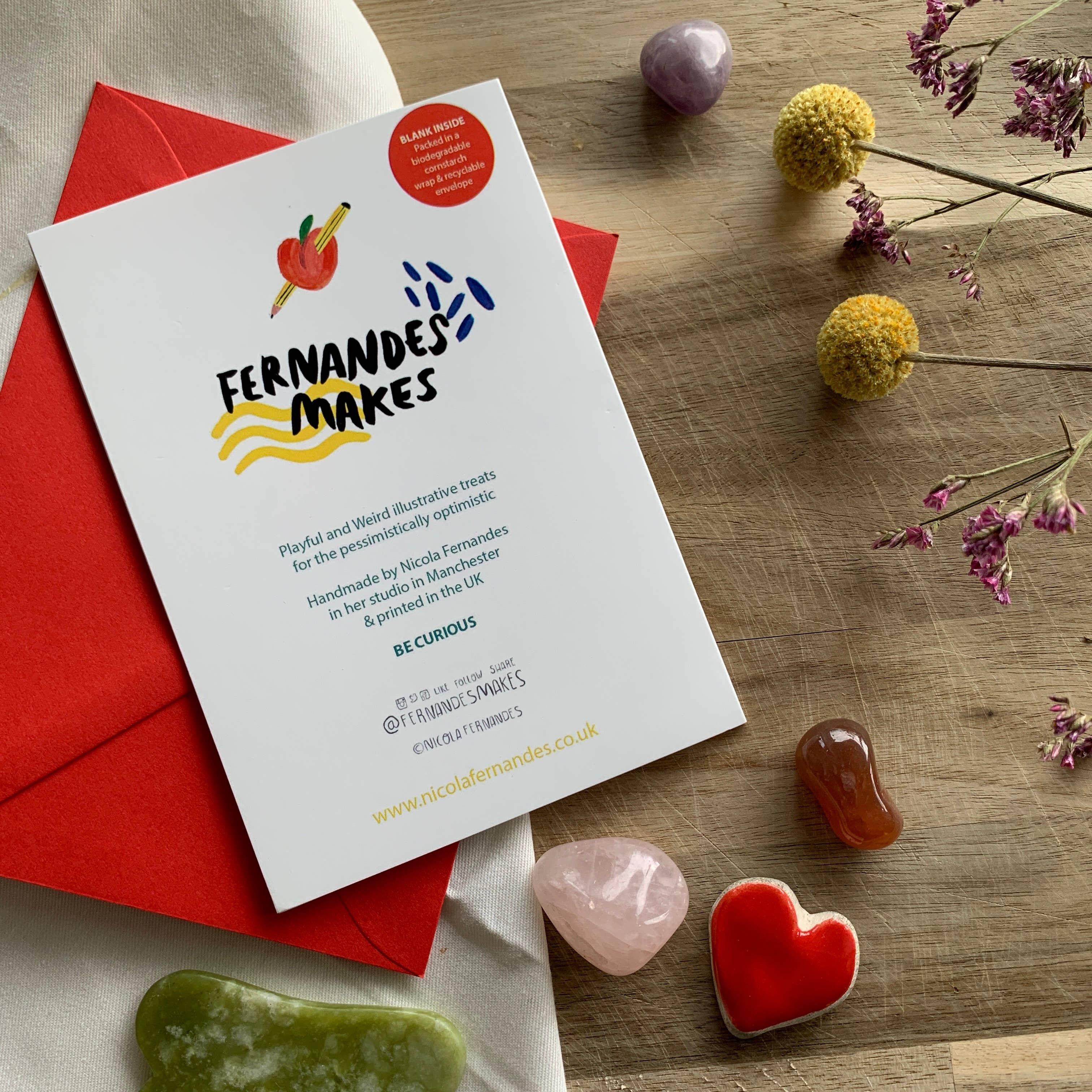 Fernandes Makes – wholesale Everyday greeting card – You're so COOT! Bird Pun illustrated A6 Greeting Card2